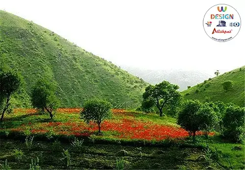 باربری-حمل-به-سلسله